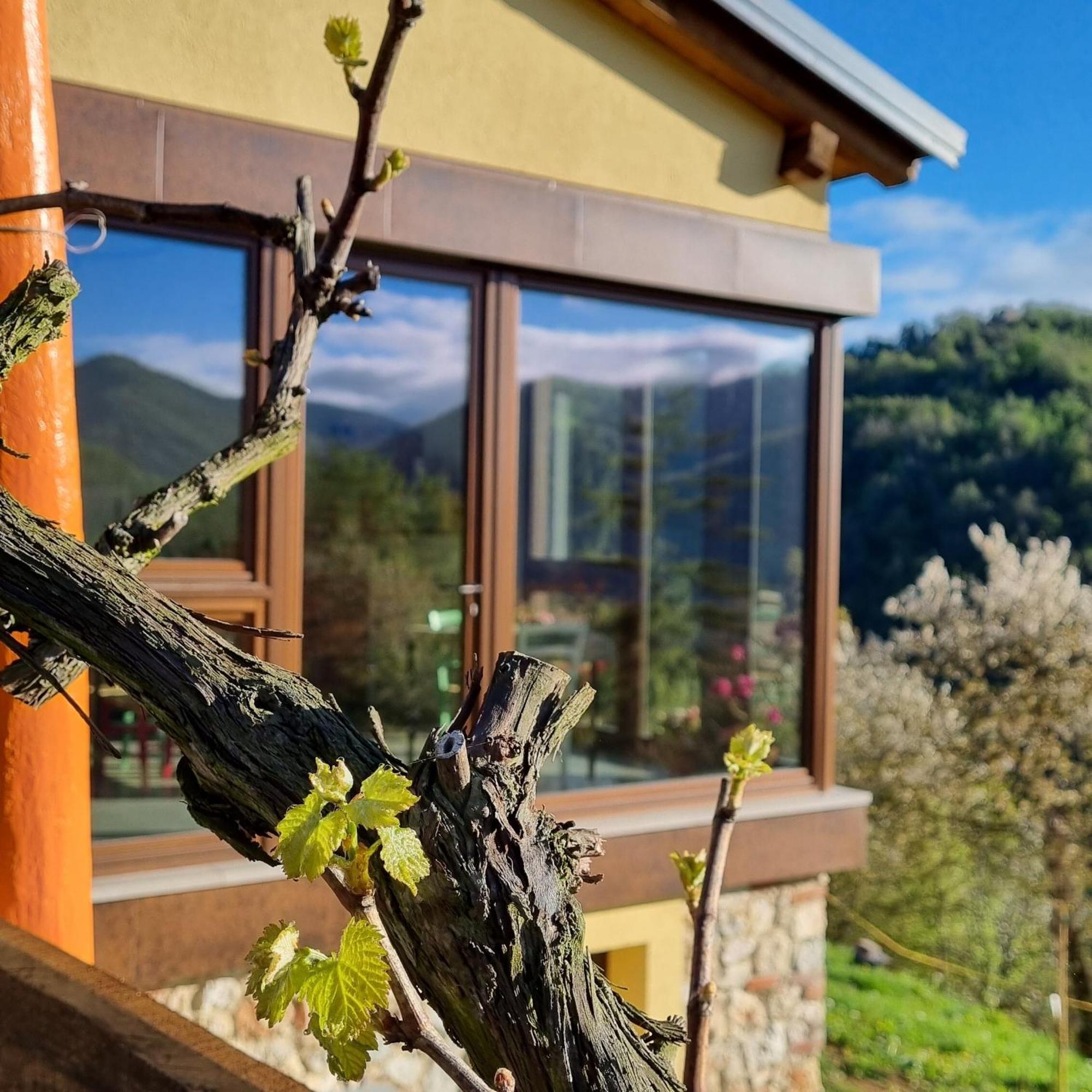 La Botalla Agriturismo Lisio Экстерьер фото